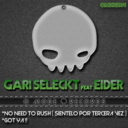 Gari Seleckt Feat Eider No Need To Rush